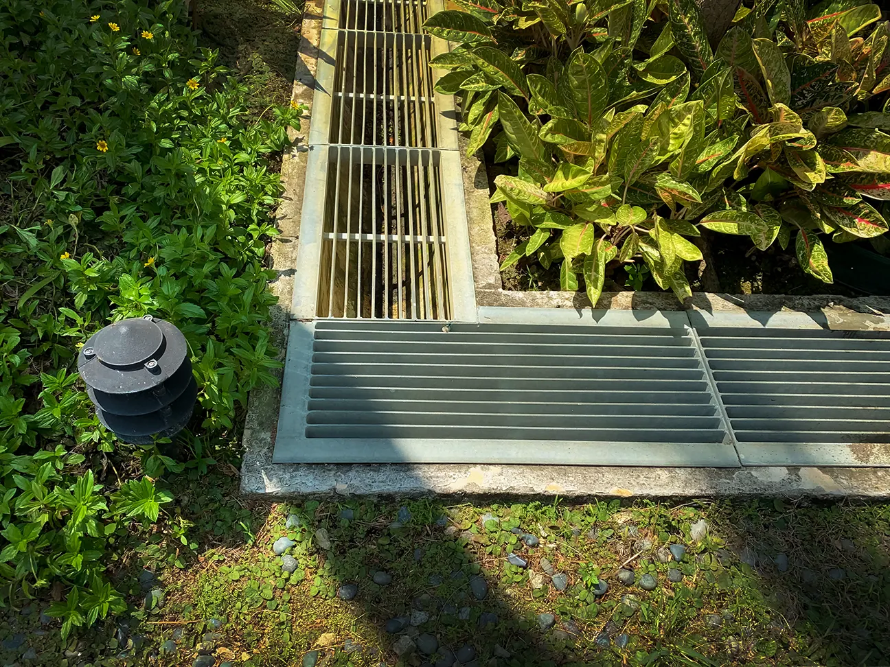 Drainage Grate in a shrub bed